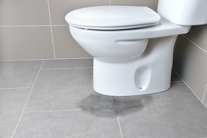 6 Steps to Fix a Toilet Leaking at the Base (+ Prevention Tips)