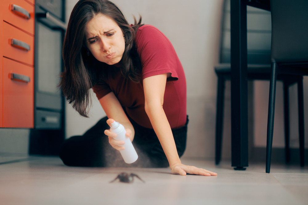 Seeing Bugs in Your House? It Could Be a Plumbing Problem!
