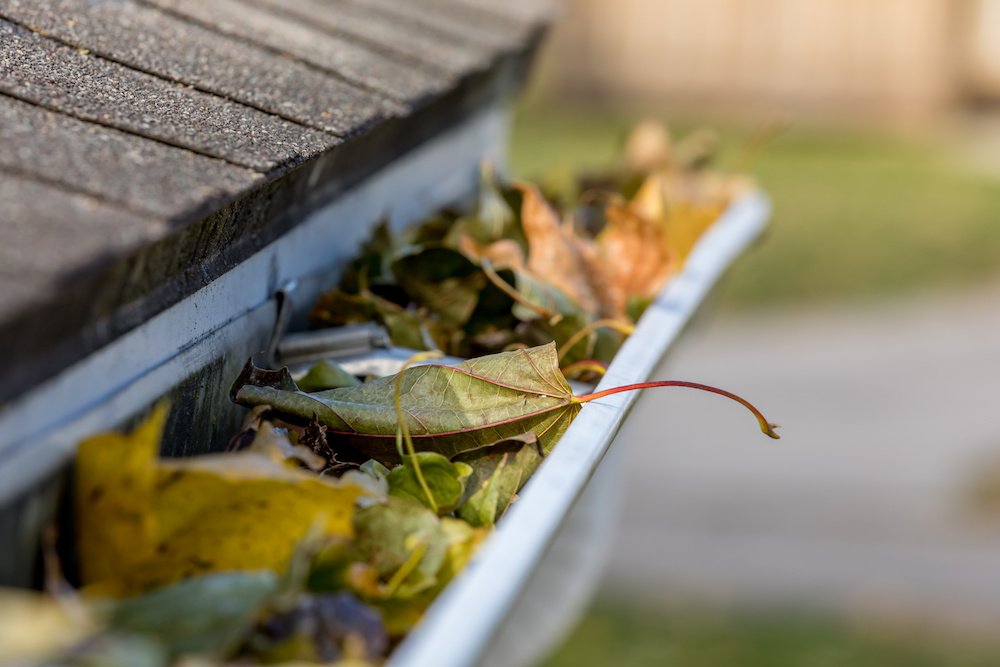 How to Clean Gutters and Clogged Roof Drains