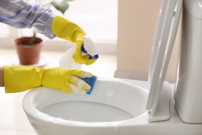 How to Clean a Toilet Tank & Keep it Clean